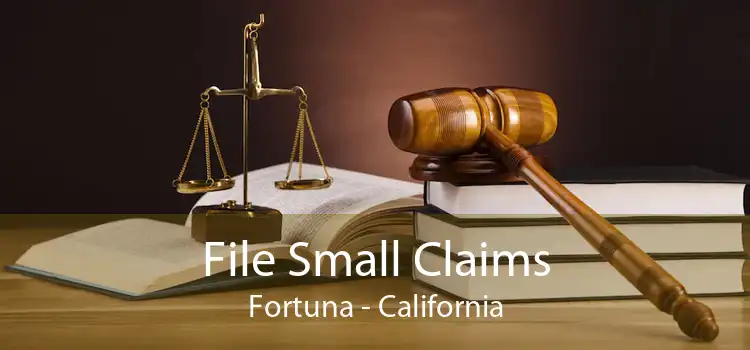 File Small Claims Fortuna - California